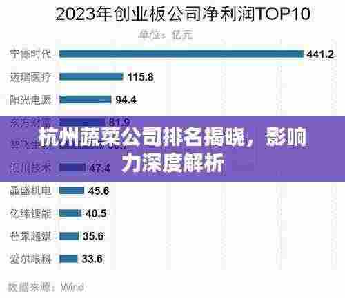 杭州蔬菜公司排名揭晓,影响力深度解析