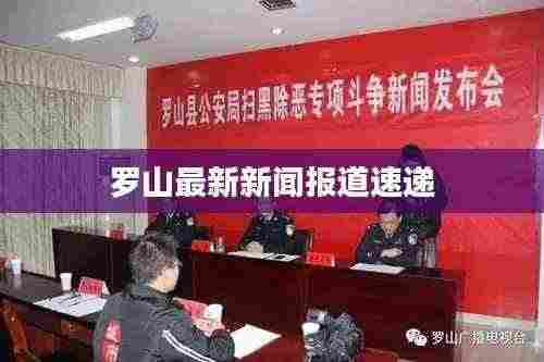 罗山最新新闻报道速递