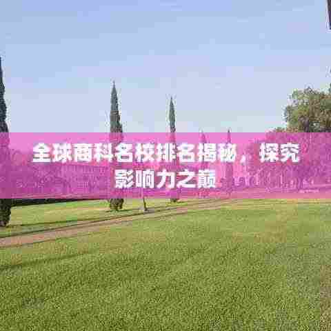 全球商科名校排名揭秘,探究影响力之巅