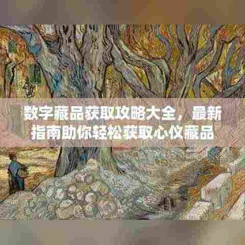 数字藏品获取攻略大全,最新指南助你轻松获取心仪藏品