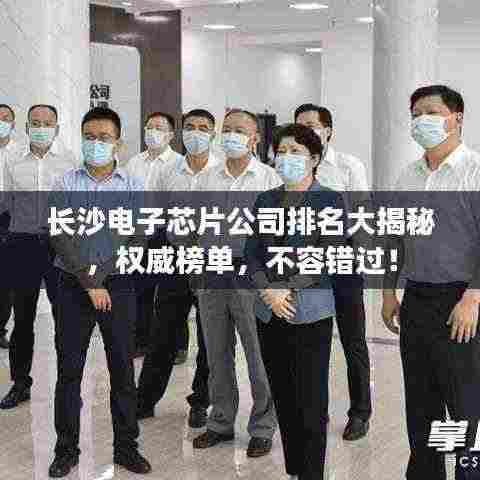 长沙电子芯片公司排名大揭秘,权威榜单,不容错过!