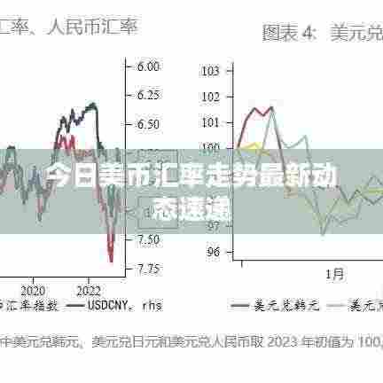 今日美币汇率走势最新动态速递