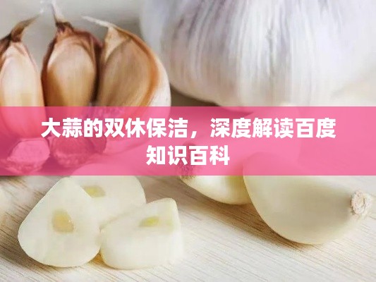 大蒜的双休保洁,深度解读百度知识百科