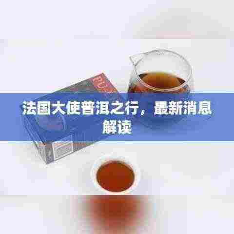 法国大使普洱之行,最新消息解读