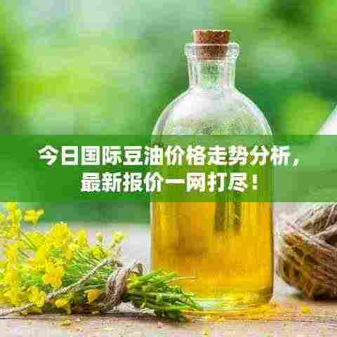 今日国际豆油价格走势分析,最新报价一网打尽!