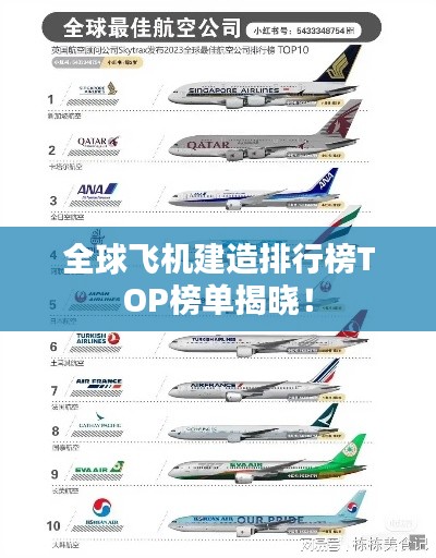 全球飞机建造排行榜TOP榜单揭晓!