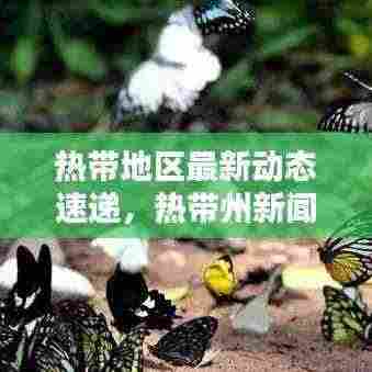 热带地区最新动态速递,热带州新闻头条探索揭秘!