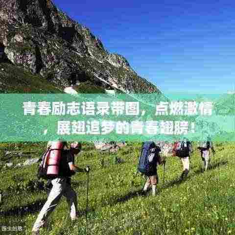 如翚斯飞 第3页