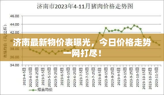济南最新物价表曝光,今日价格走势一网打尽!