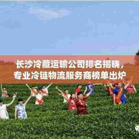 长沙冷藏运输公司排名揭晓,专业冷链物流服务商榜单出炉!