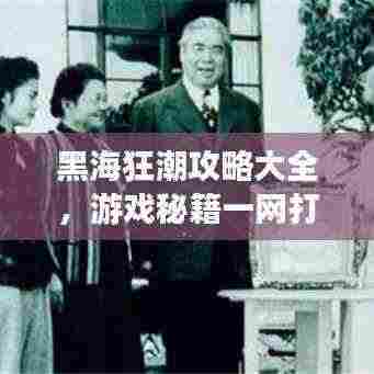 黑海狂潮攻略大全,游戏秘籍一网打尽(最新更新)