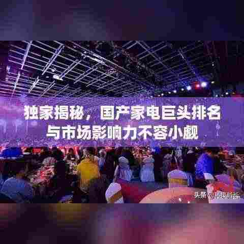 独家揭秘，国产家电巨头排名与市场影响力不容小觑
