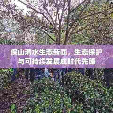 保山清水生态新闻,生态保护与可持续发展成时代先锋