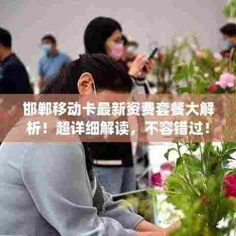 邯郸移动卡最新资费套餐大解析!超详细解读,不容错过!