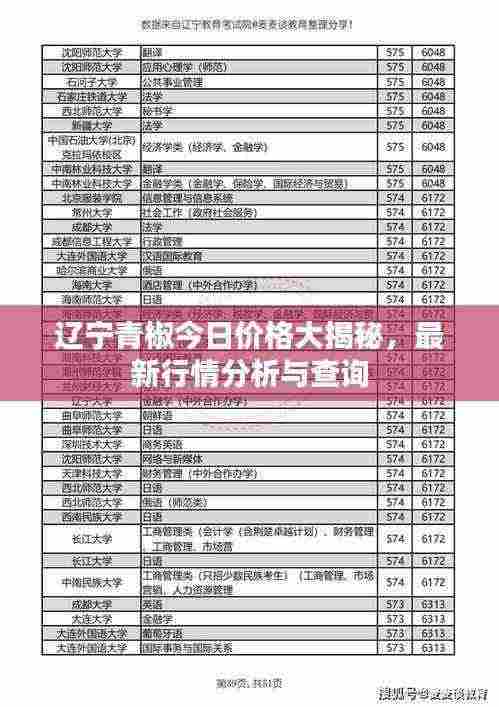 辽宁青椒今日价格大揭秘,最新行情分析与查询