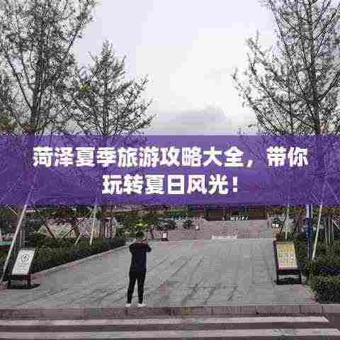 菏泽夏季旅游攻略大全，带你玩转夏日风光！