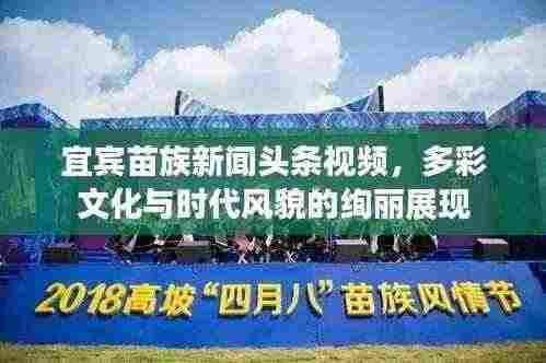 宜宾苗族新闻头条视频,多彩文化与时代风貌的绚丽展现