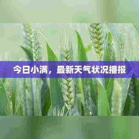 今日小满,最新天气状况播报