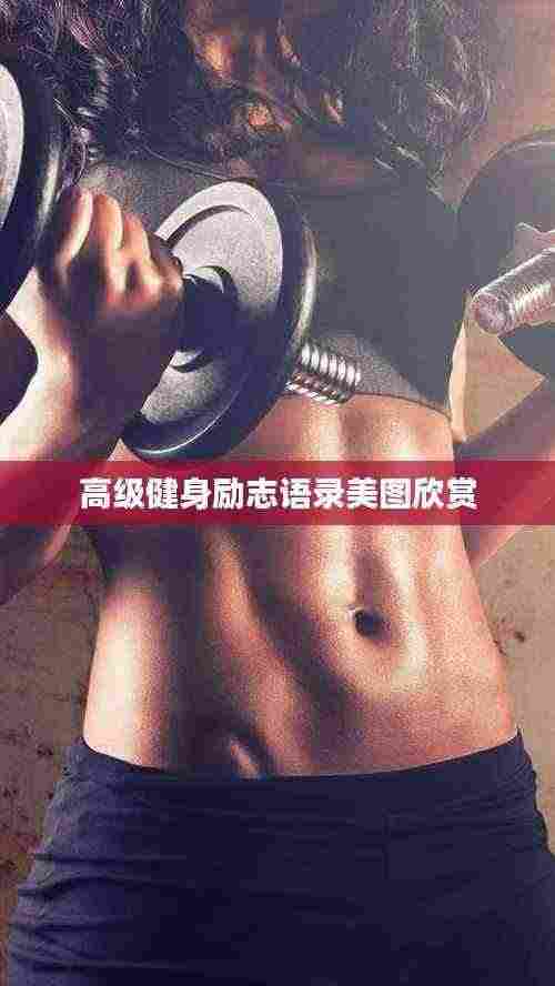 高级健身励志语录美图欣赏