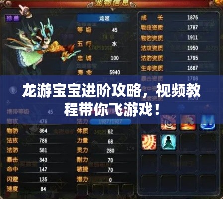 龙游宝宝进阶攻略,视频教程带你飞游戏!