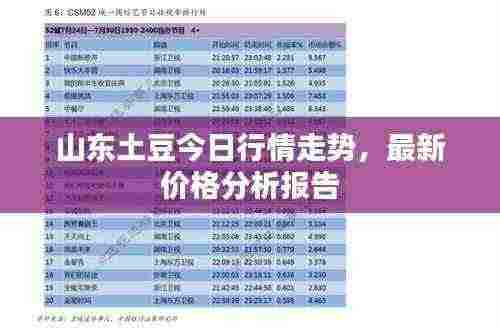 山东土豆今日行情走势，最新价格分析报告