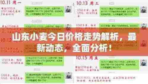 山东小麦今日价格走势解析，最新动态，全面分析！