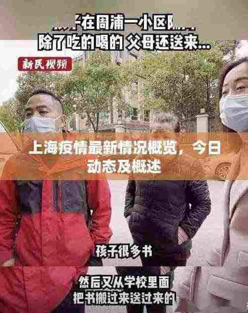 上海疫情最新情况概览,今日动态及概述