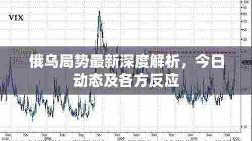 俄乌局势最新深度解析,今日动态及各方反应