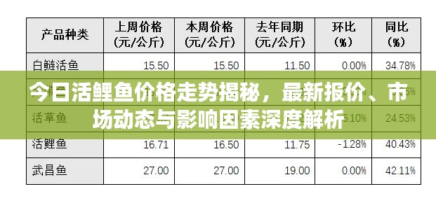 今日活鲤鱼价格走势揭秘，最新报价、市场动态与影响因素深度解析