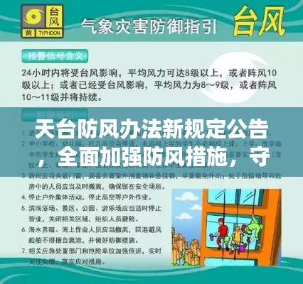 天台防风办法新规定公告,全面加强防风措施,守护安全!