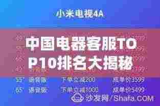 中国电器客服TOP10排名大揭秘!