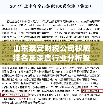 山东泰安财税公司权威排名及深度行业分析报告