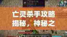 亡灵杀手攻略揭秘,神秘之旅的探险之旅!