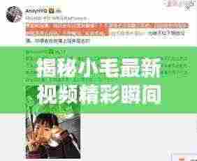 揭秘小毛最新视频精彩瞬间,今日头条独家呈现!