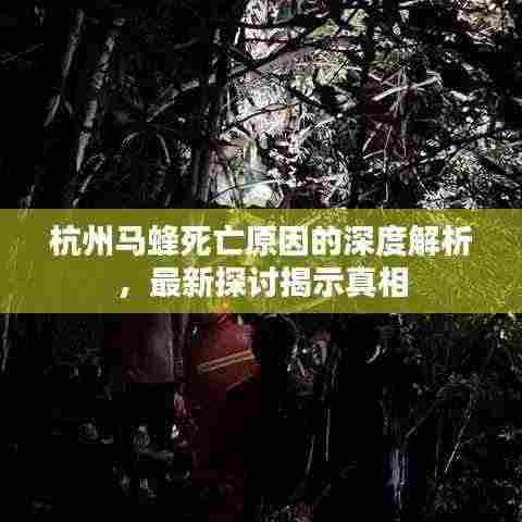 杭州马蜂死亡原因的深度解析，最新探讨揭示真相