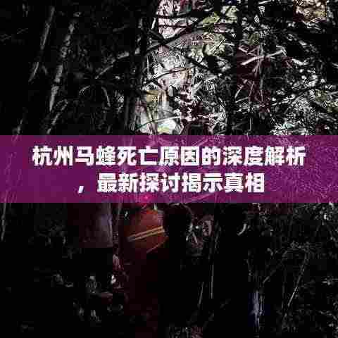 杭州马蜂死亡原因的深度解析,最新探讨揭示真相