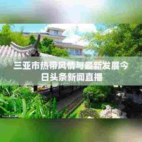 三亚市热带风情与最新发展今日头条新闻直播