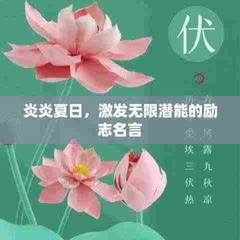 炎炎夏日，激发无限潜能的励志名言