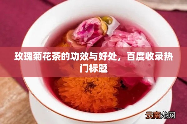 玫瑰菊花茶的功效与好处，百度收录热门标题