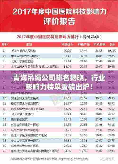 青海吊绳公司排名揭晓，行业影响力榜单重磅出炉！