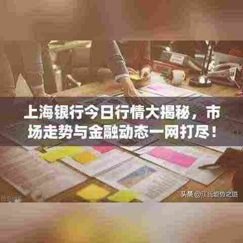 上海银行今日行情大揭秘，市场走势与金融动态一网打尽！