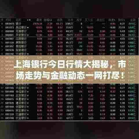 上海银行今日行情大揭秘,市场走势与金融动态一网打尽!