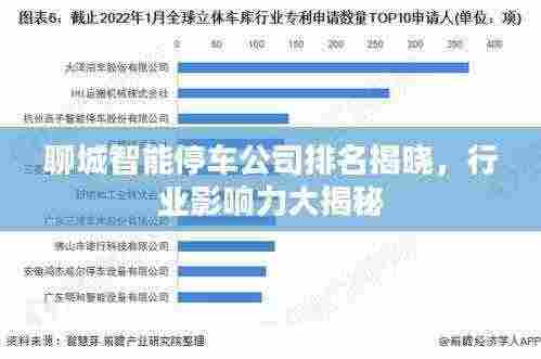 聊城智能停车公司排名揭晓,行业影响力大揭秘