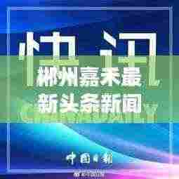 郴州嘉禾最新头条新闻速递