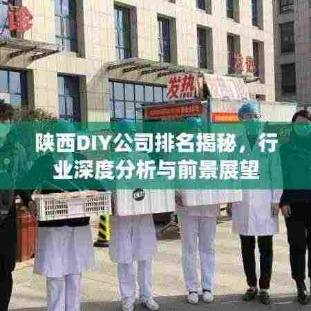 陕西DIY公司排名揭秘,行业深度分析与前景展望
