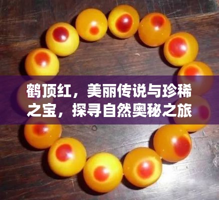 鹤顶红,美丽传说与珍稀之宝,探寻自然奥秘之旅!