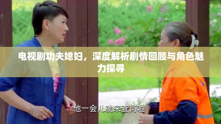 电视剧功夫媳妇，深度解析剧情回顾与角色魅力探寻