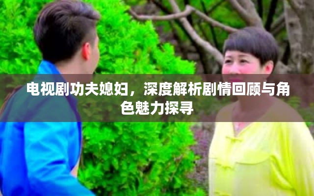 电视剧功夫媳妇,深度解析剧情回顾与角色魅力探寻