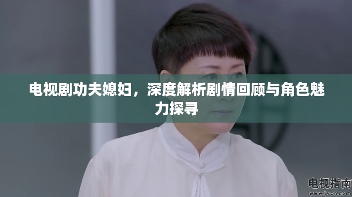 电视剧功夫媳妇,深度解析剧情回顾与角色魅力探寻