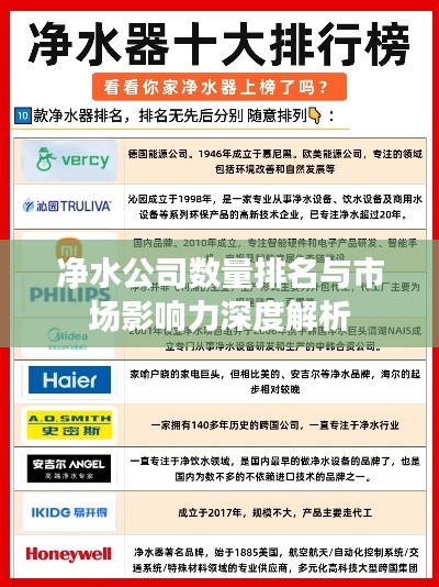 净水公司数量排名与市场影响力深度解析